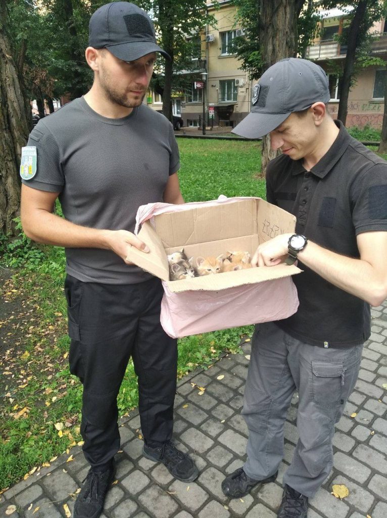 У Привокзальному сквері муніципали натрапили на коробку з кошенятами ФОТО