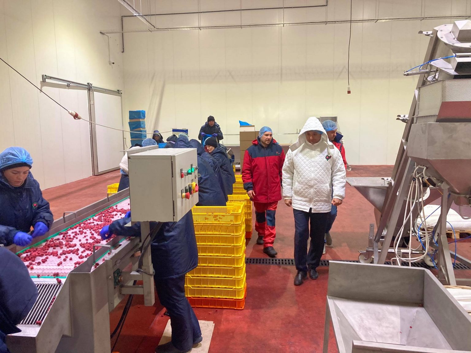Очільник Франківська відвідав підприємство з переробки ягід ФОТО