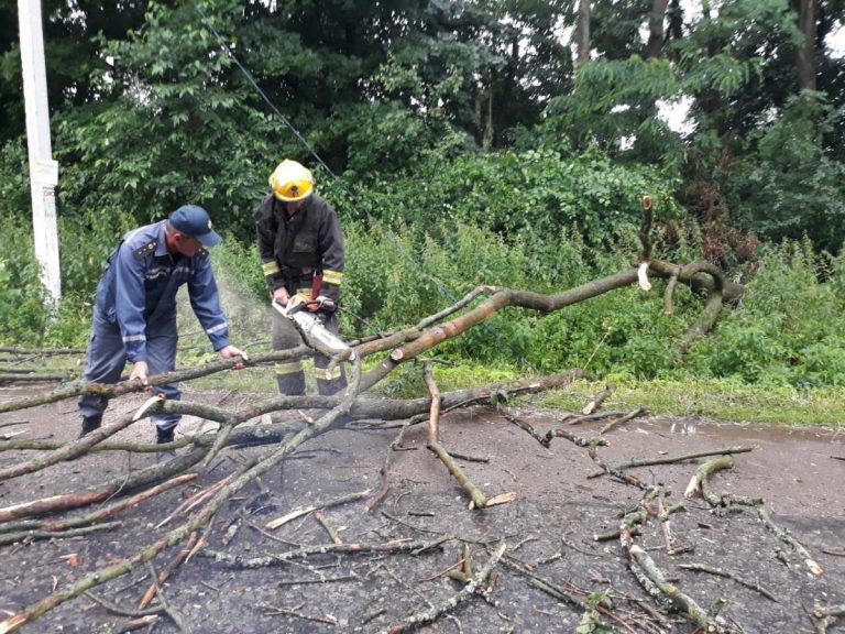 Вночі у Надвірній рятувальники розчищали дорогу