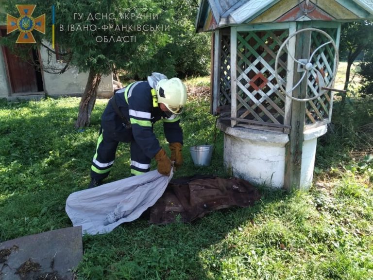 Жахлива смерть: стало відомо, як загинув літній прикарпатець, розшук якого тривав упродовж тижня