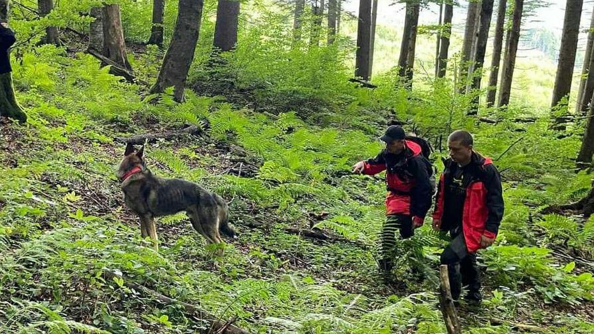 В районі Вишківського перевалу заблукав грибник із Моршина