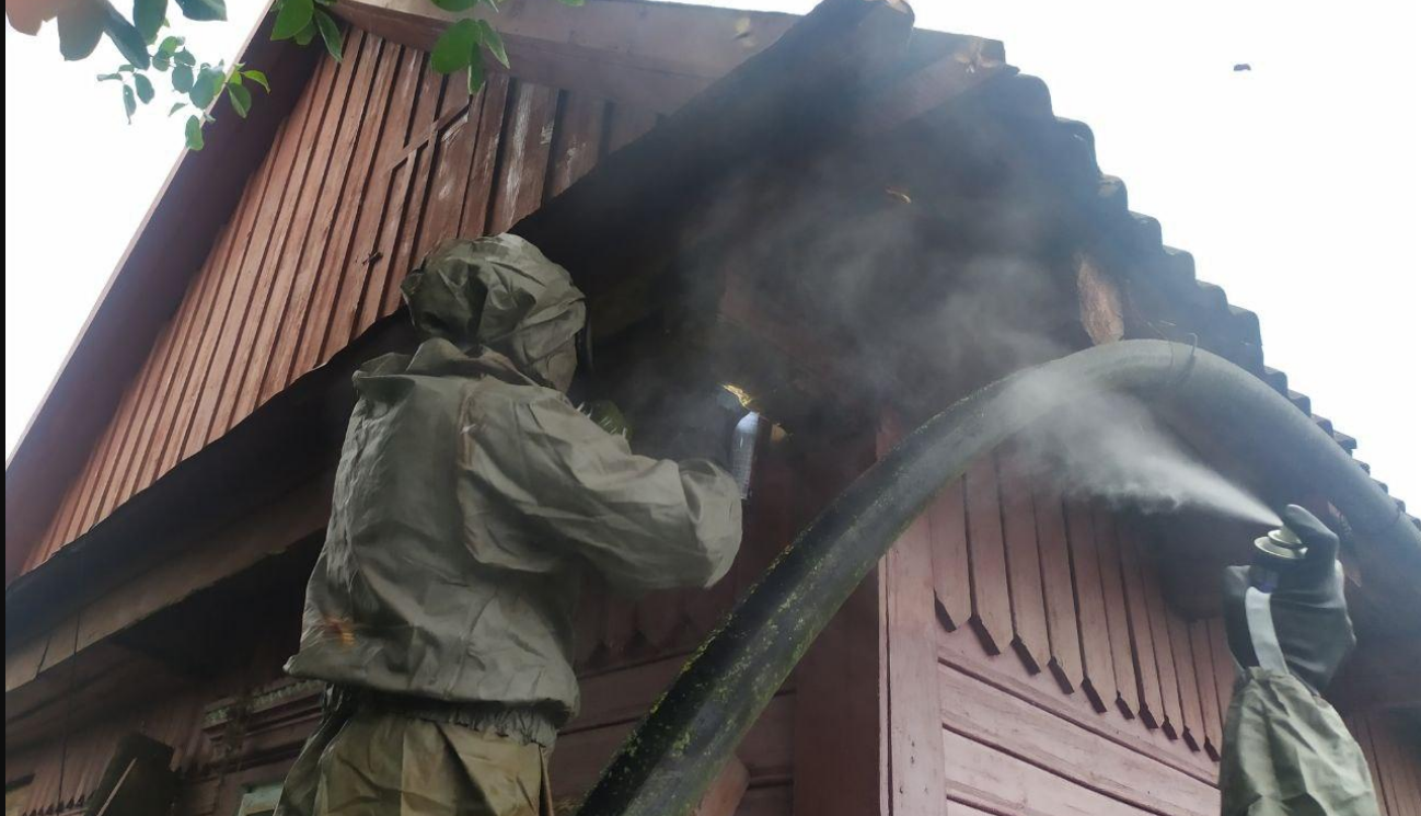 Упродовж минулої доби прикарпатські надзвичайники 9 разів виїжджали на боротьбу із агресивними шершнями