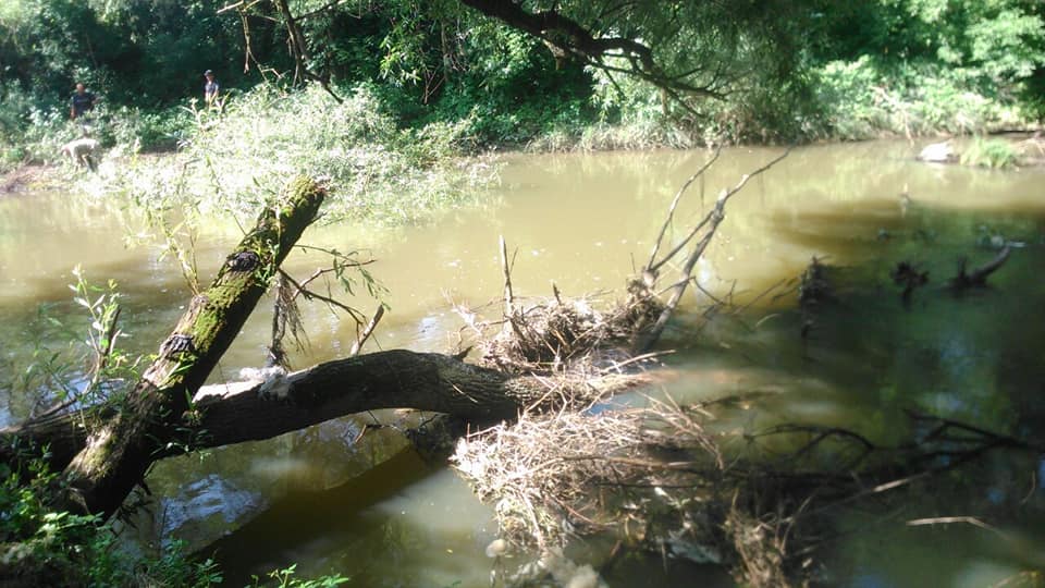 В Підлужжі, щоб запобігти підтопленням, почистили русло ріки ВоронаВ Підлужжі, щоб запобігти підтопленням, почистили русло ріки Ворона