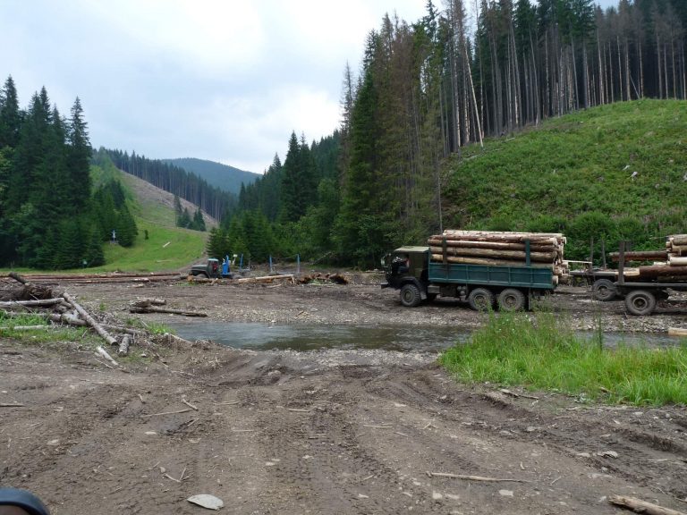 Вірастюк: На моєму окрузі нещадно вирубують ліс. За короткий час тільки в районі села Бистриця ми нарахували 40 лісовозів