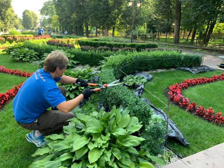 Як доглядають та формують клумби у Центральному міському парку