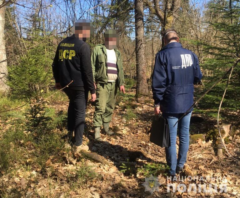 Прикарпатського лісничого судили через одержання хабара за зрубані ялинки