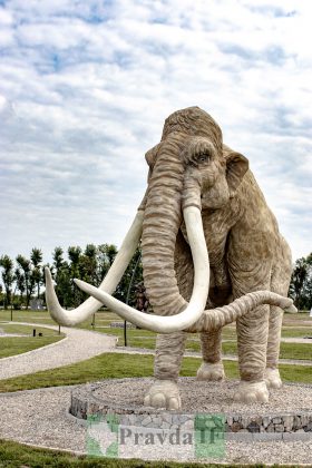 Величезні мамонти і не тільки: прикарпатців запрошують відвідати Парк Льодовикового періоду ФОТО