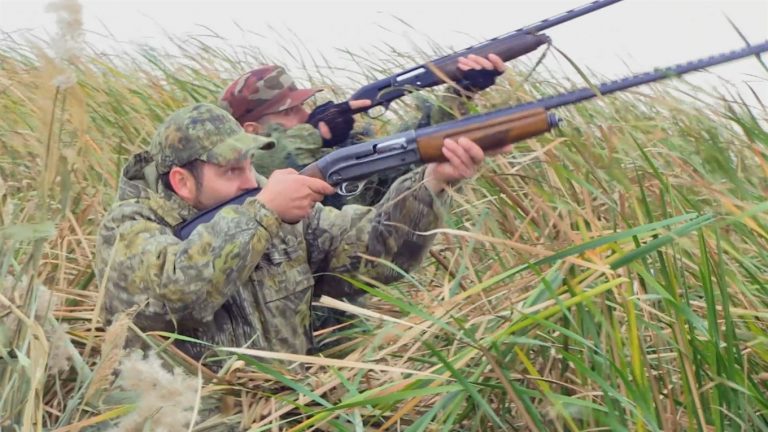 Цими вихідними на Франківщині стартує мисливський сезон