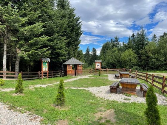 У Солотвинському лісгоспі відкрили два рекреаційні пункти ФОТО