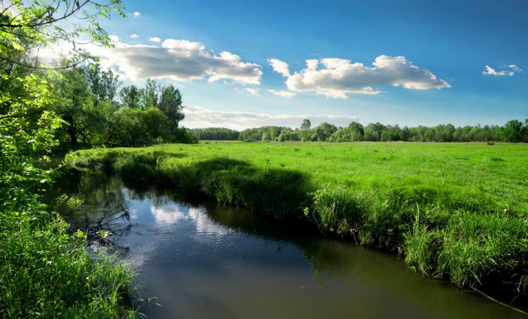 На Франківщині незаконно приватизували землі водного фонду