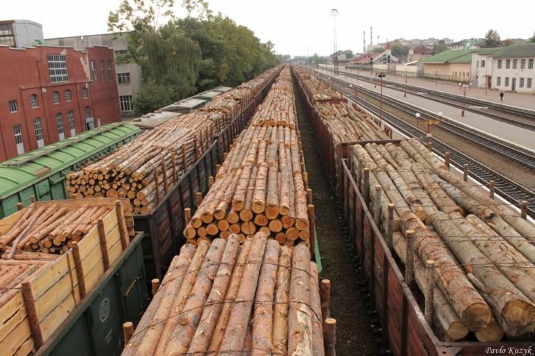 На Прикарпатті прокуратура взялася за експортерів деревини