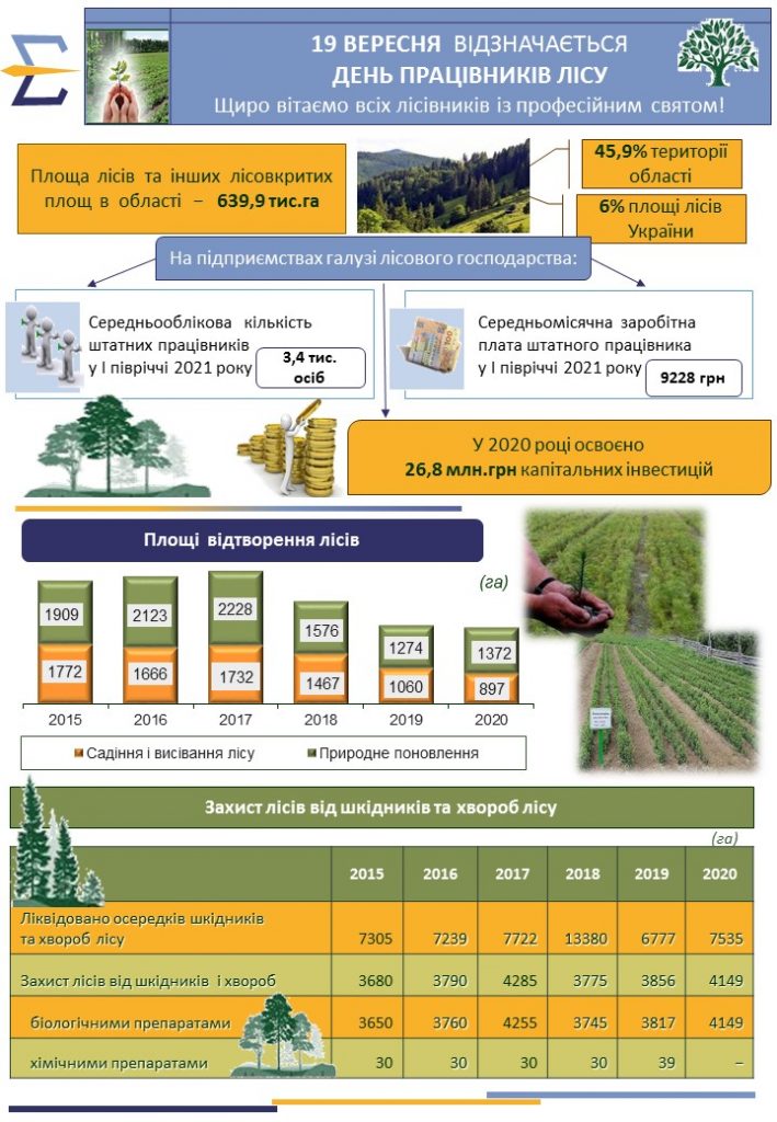 На Франківщині у розвиток підприємств лісового господарства у 2020 спрямовано 26,8 млн.грн капітальних інвестицій