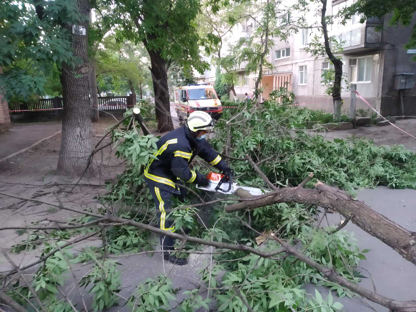 У Калуші дерево впало на лінію електропередач