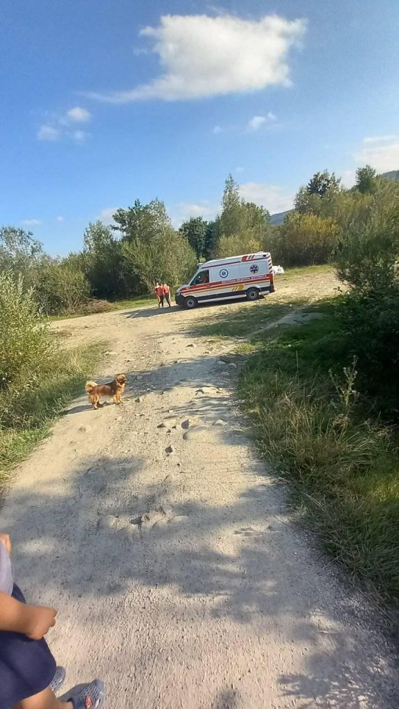 реанімації