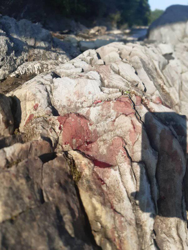 реанімації