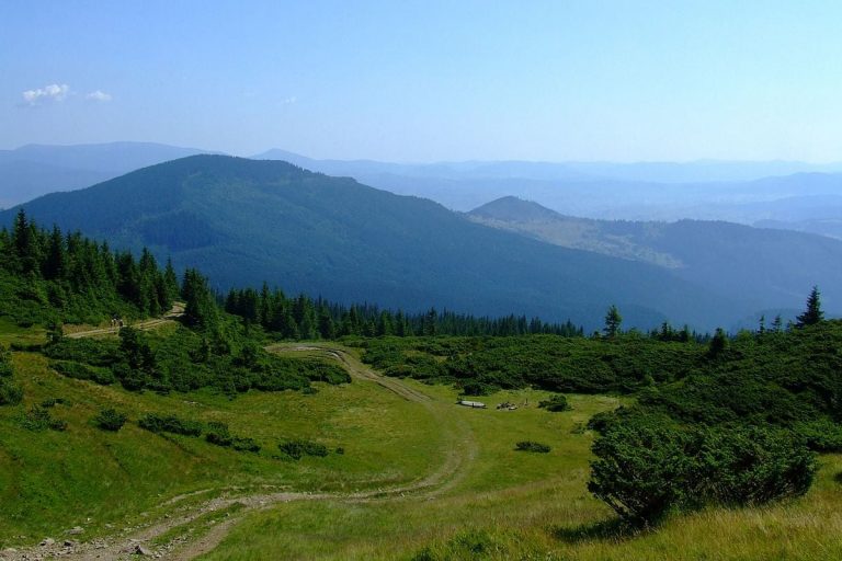 На Прикарпатті знайдено тіла двох чоловіків, котрі загубилися в лісових масивах