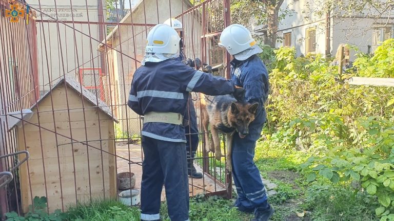 У Франківську собака застряг у металевій конструкції вольєру - вивільнили рятувальники ФОТО