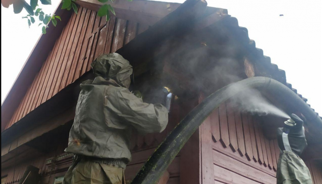 Упродовж минулої доби прикарпатські надзвичайники чотири рази виїжджали на боротьбу із агресивними шершнями