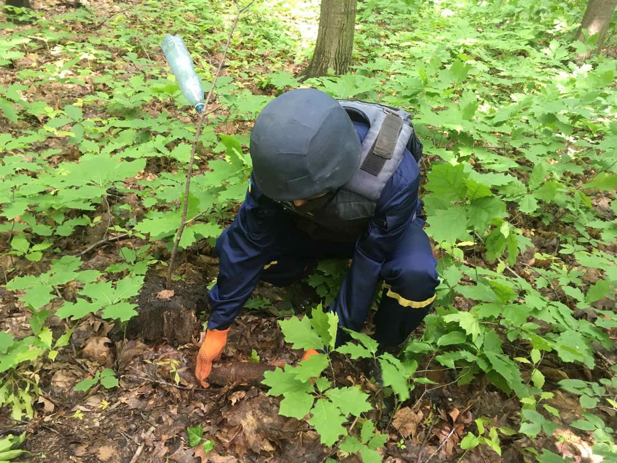 В лісі на Коломийщині виявили майже 100 вибухонебезпечних предметів
