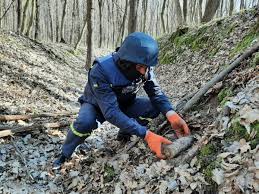 У одному з сіл Солотвинської ТГ піротехніки знешкодили артснаряд часів ІІ Світової війни