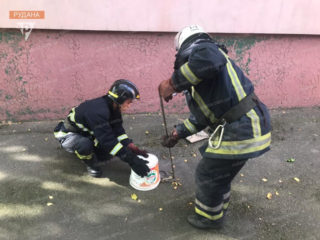 У Івано-Франківську рятувальники ловили змію на приватному подвір'ї