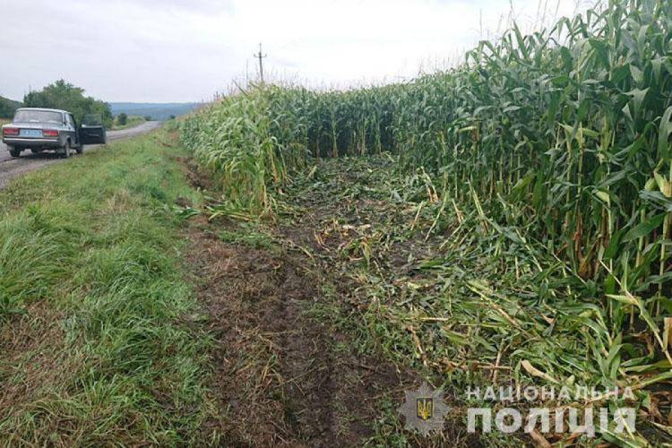 На Тернопільщині в аварії травмувалися 19-річні дівчата з Прикарпаття ФОТО