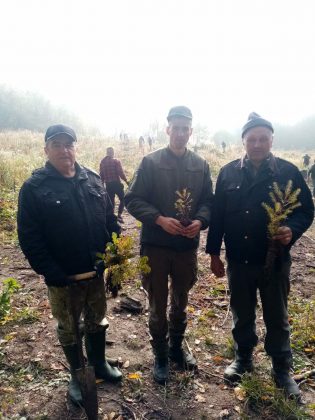 На Франківщині висадили гектар молодого лісу ФОТО
