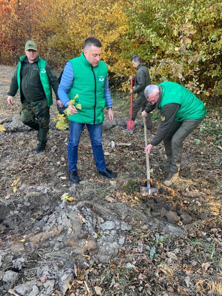 У Галицькому Національному парку за день висадили 2500 дерев