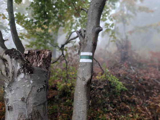 Ще одна прикарпатська ОТГ розробила туристичну "родзинку" для гостей громади ФОТО