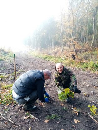 На Франківщині висадили гектар молодого лісу ФОТО
