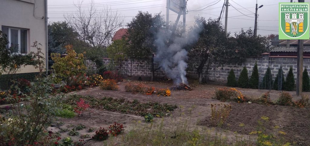 траву