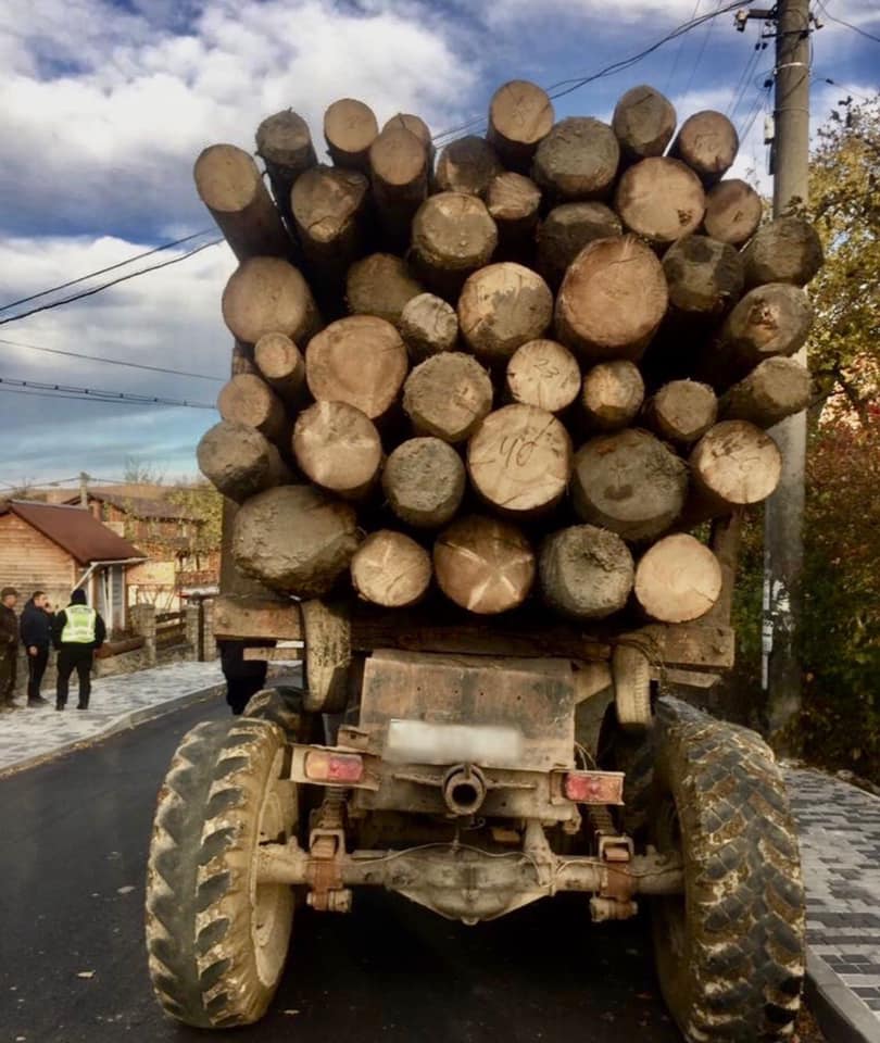 На Прикарпатті поліцейські у трьох районах спіймали крадіїв деревини ФОТО