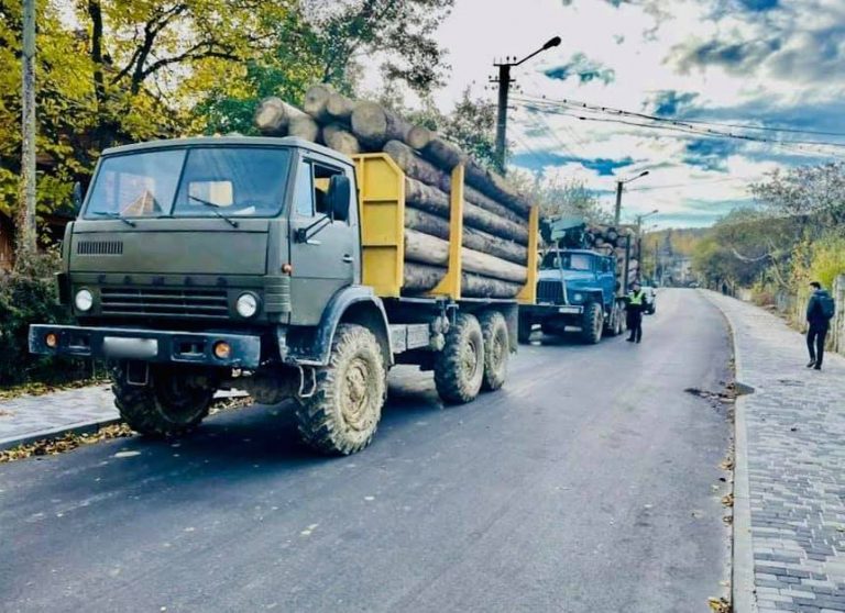 На Прикарпатті поліцейські у трьох районах спіймали крадіїв деревини ФОТО