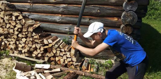 Мешканці гірських прикарпатських сіл погрожують лісникам самовільними рубками
