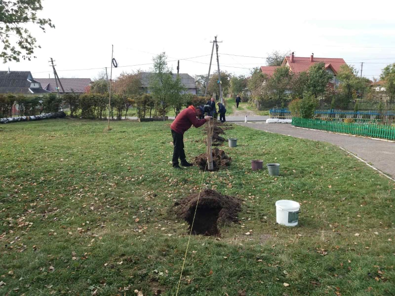 парк