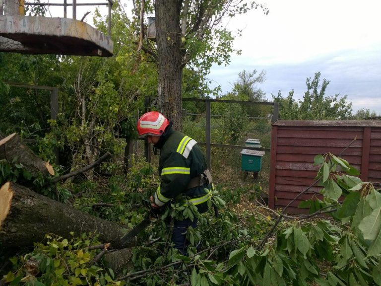 На Франківщині дерево ледь не розтрощило житловий будинок