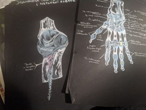 Франківська студентка створює неймовірні графічні роботи про медицину ФОТО та ВІДЕО