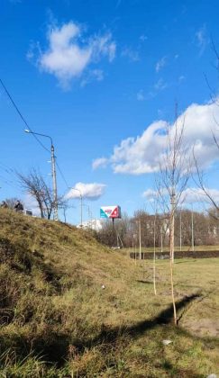 Замість білбордів - зелені зони: у Франківську розпочали осінню посадку дерев ФОТО
