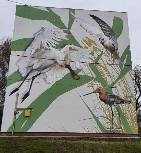 Будинки на одній з вулиць Бурштина прикрасили еко-мурали з червонокнижними птахами ФОТО