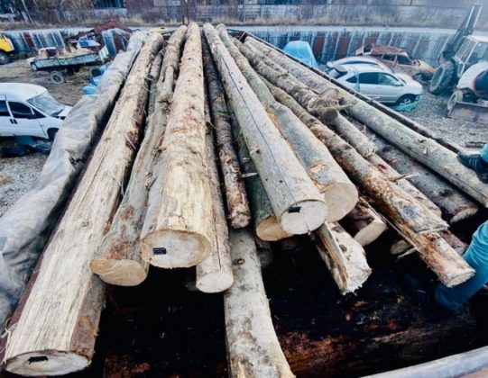 Поліцейські Франківщини вилучили у водія вантажівку з незаконно зрубаною деревиною ФОТО