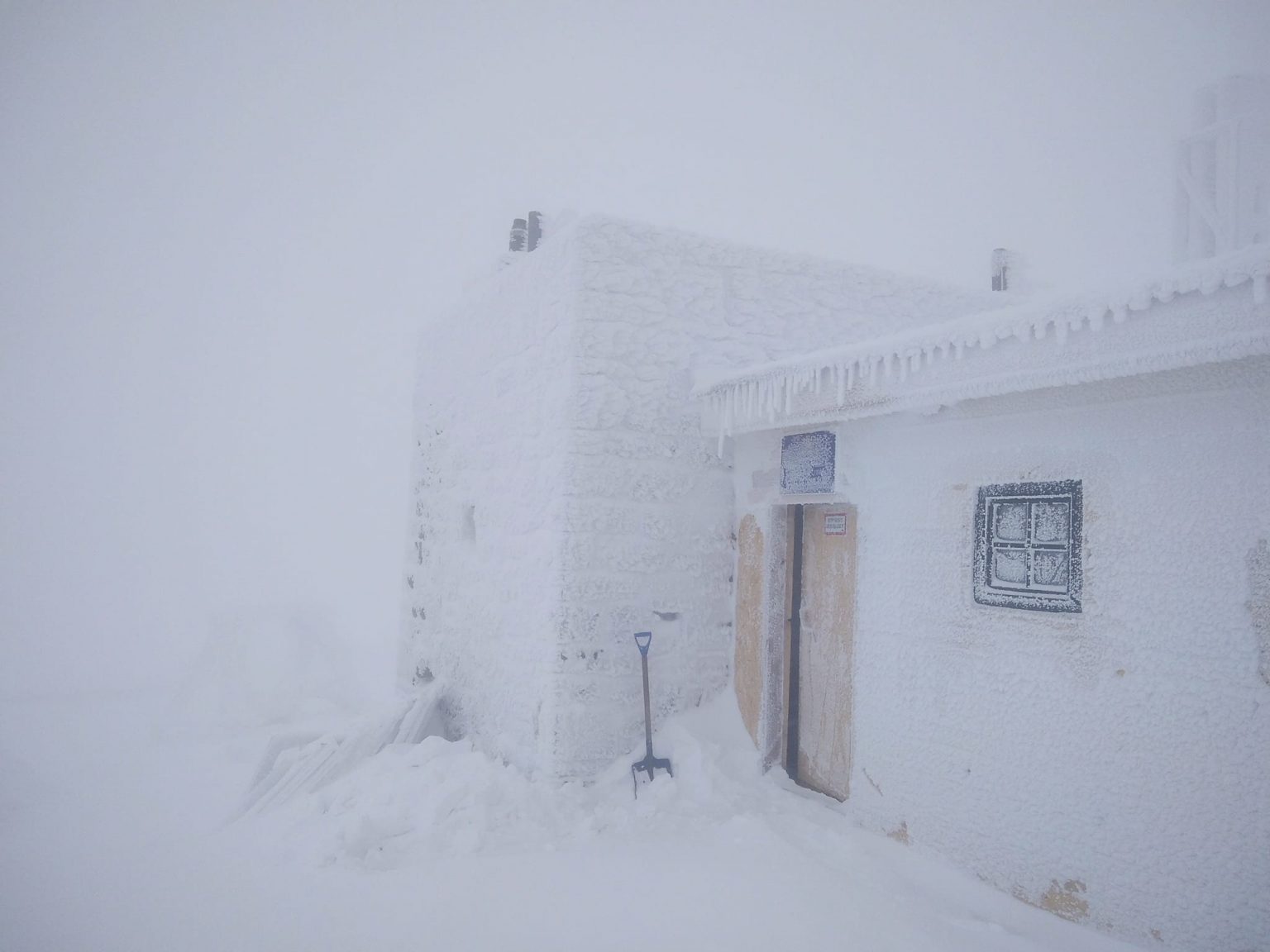 У Карпатах на Чорногорі вдарив мороз і мете хуртовина ФОТО