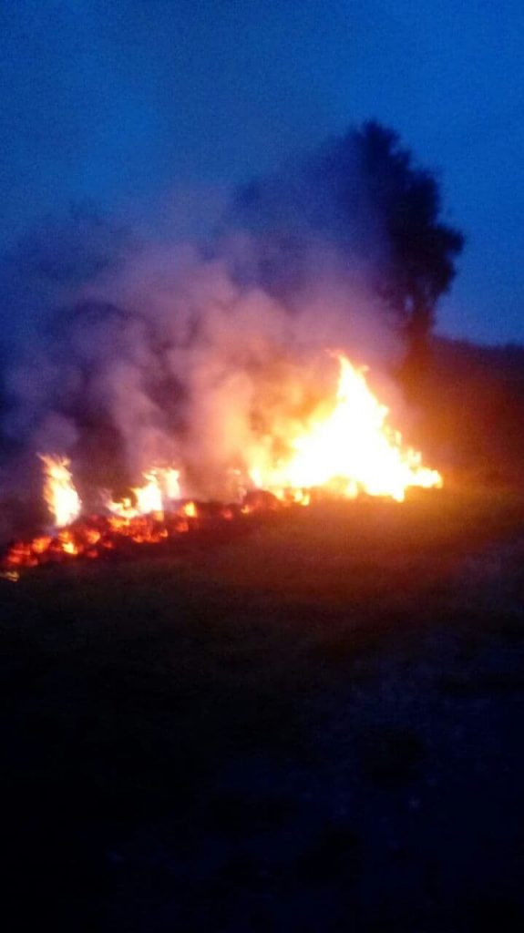 Франківські муніципали склали понад 70 протоколів на паліїв сухої трави