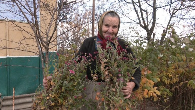 На межі зникнення: як у прикарпатському селі Витань живе п’ятеро людей