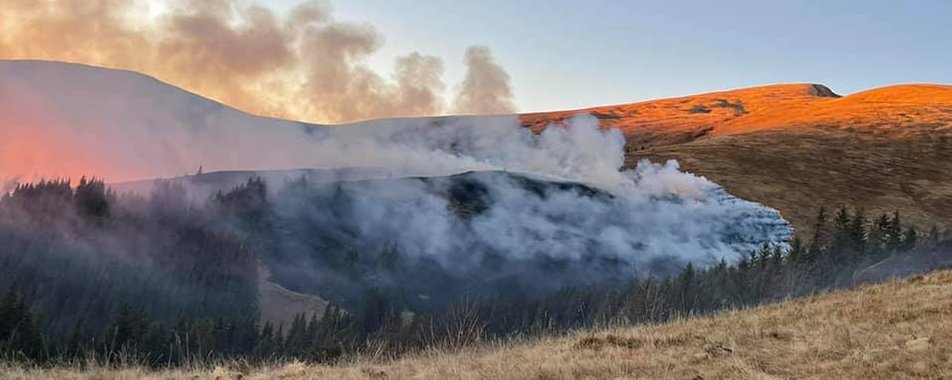 Сотня вогнеборців приборкували масштабну пожежу на полонині у Карпатах ФОТО