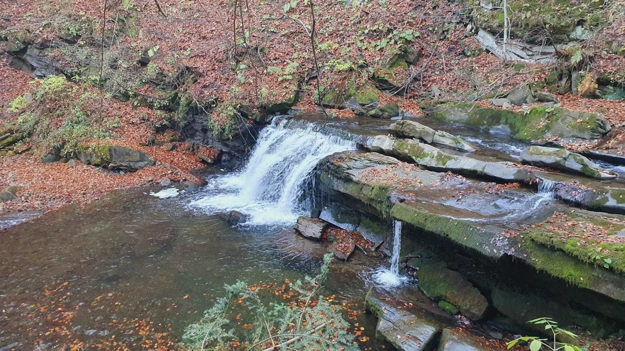 На річках Івано-Франківської області дещо піднявся рівень води