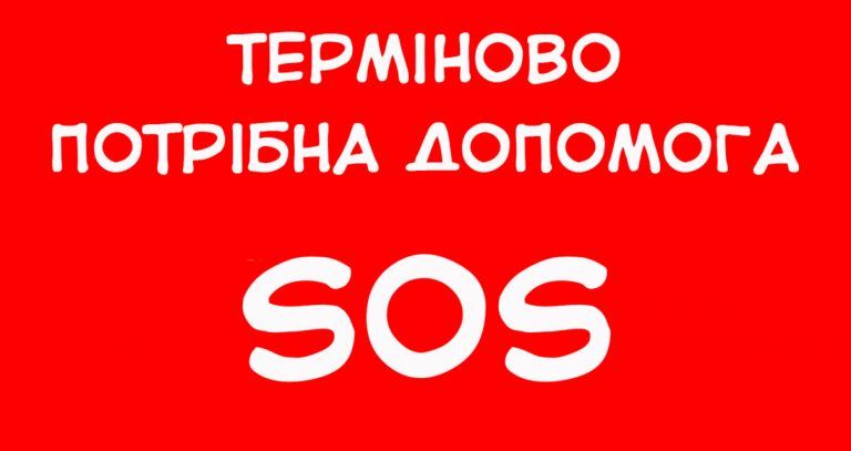 Мати дівчини, яка померла після падіння з будинку в Пасічній, віддала благодійні гроші хворому школяреві