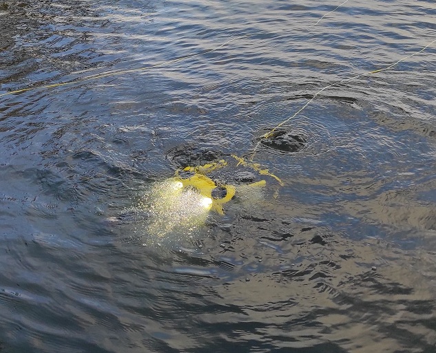 На Бурштинській ТЕС запустили підводний дрон ФОТО