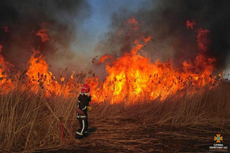 Незважаючи на захмарні штрафи та заборони, прикарпатські ґазди й надалі масово спалюють суху траву