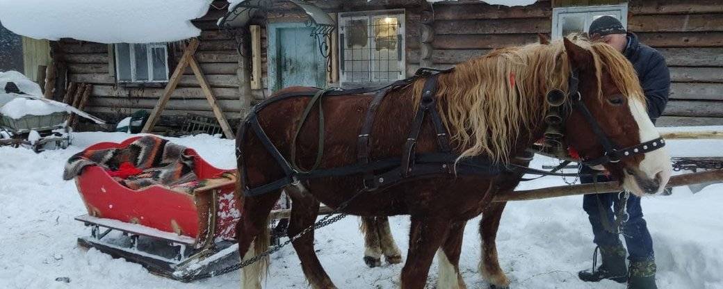 Прикарпатець 15 років майструє гуцульські сани без жодного цвяха та за давньою традицією ВІДЕО