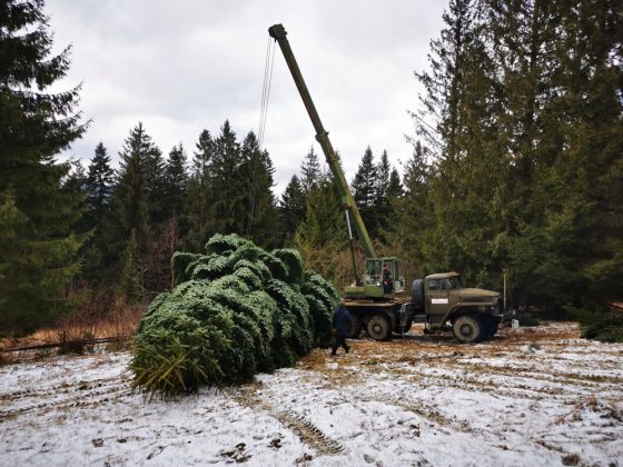 У курортному Яремче втановлюють новорічну ялинку ФОТО